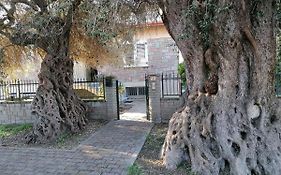 La Casa Degli Ulivi